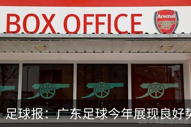 足球报：广东足球今年展现良好势头，广州豹、深圳青年人全力冲超